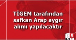 TİGEM tarafından safkan Arap aygır alımı yapılacaktır