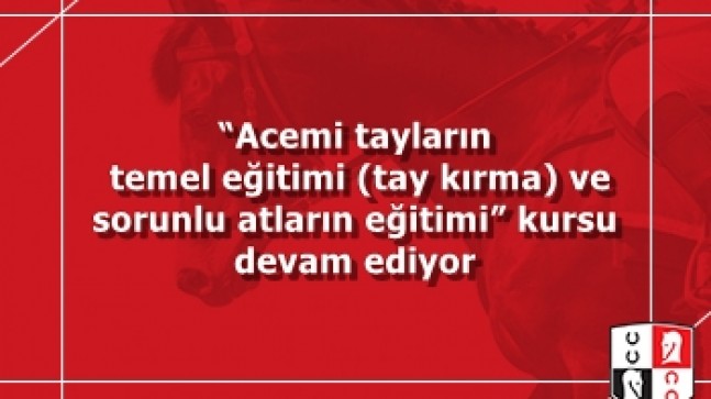 “Acemi tayların temel eğitimi (tay kırma) ve sorunlu atların eğitimi” kursu devam ediyor