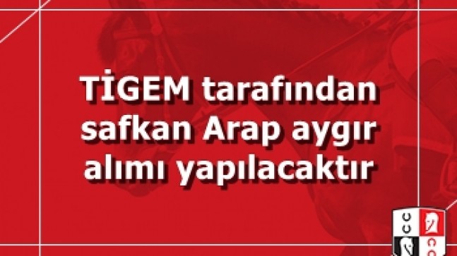 TİGEM tarafından safkan Arap aygır alımı yapılacaktır