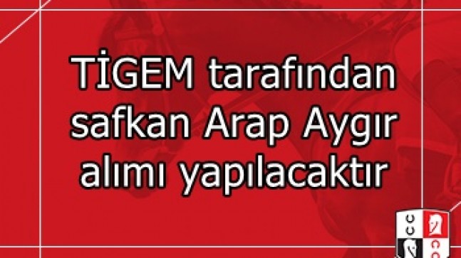 TİGEM tarafından safkan Arap Aygır alımı yapılacaktır