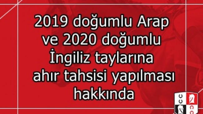 2019 doğumlu Arap ve 2020 doğumlu İngiliz taylarına ahır tahsisi yapılması hakkında