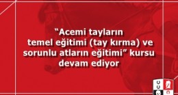 “Acemi tayların temel eğitimi (tay kırma) ve sorunlu atların eğitimi” kursu devam ediyor