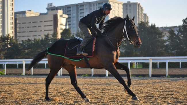 2022 Dubai World Cup Karnavalı’nda Uğurtay’ın ilk yarış kaydı yapıldı